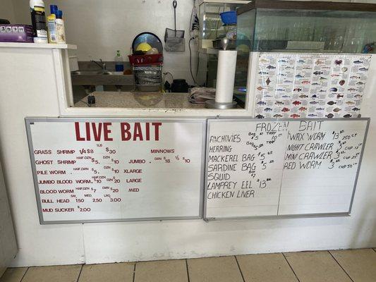 Prices of Live and Frozen Bait