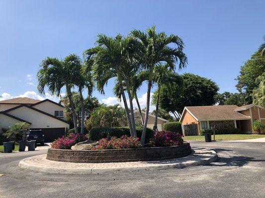 Circle of palm trees and flowers