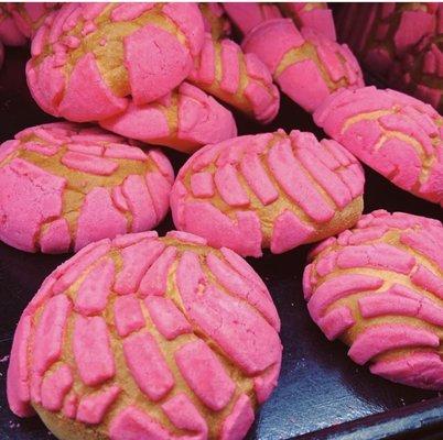 Beautiful pink conchas!