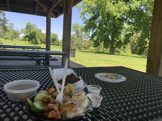 Picnic in Forest park