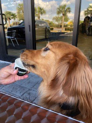 He loves his ice cream.!