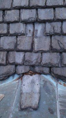 Roof repair slate and shingle