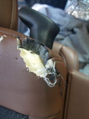 Dog Damaged Car Seat