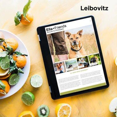 Leibovitz template from PhotoBiz. Build it yourself or let us help!