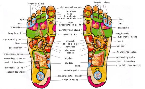 Foot Reflexology