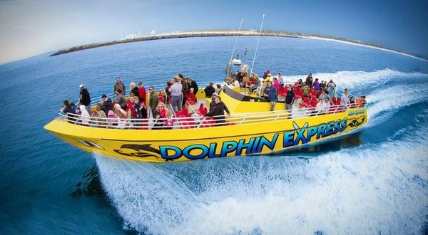 Dolphin Express