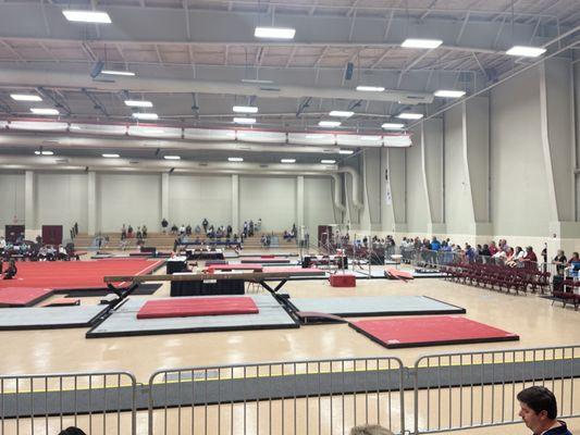 Competition Floor