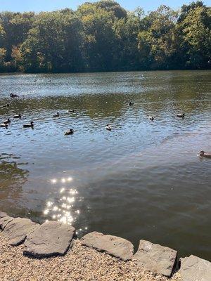 Stony Brook Grist Mill