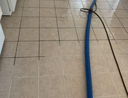 We can make your dirty, discolored, old grout look BRAND NEW again!