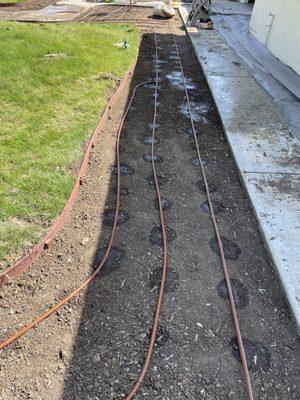 Drip Irrigation install before it was covered with weed barrier fabric.