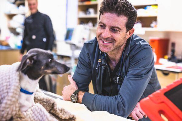 Emergency veterinarian bonding with a patient.