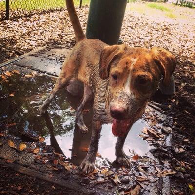 Leave it to Zane to find the one mud puddle and make it his... own.