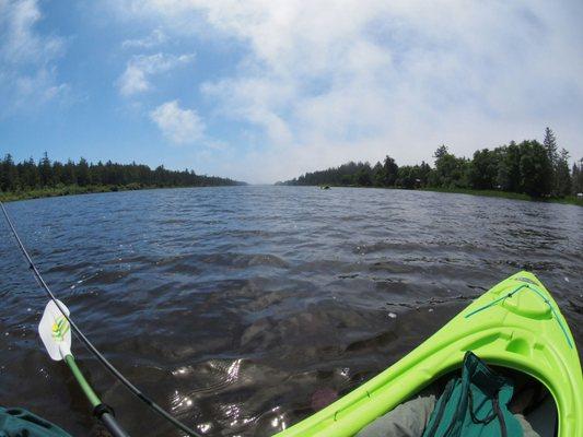 From da kayak