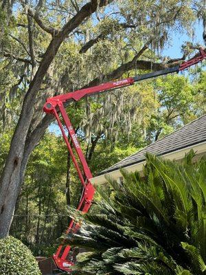 Sanford Tree Service