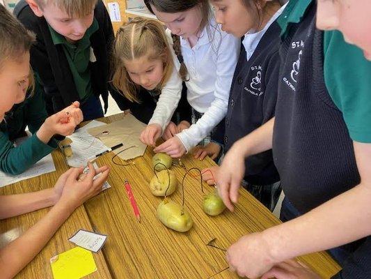 Working Together in Small Groups with Hands on Activities