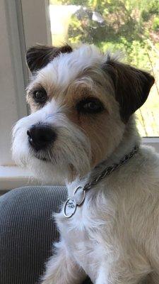 JRT loves HAC. "They're kind & they keep me healthy! I love Reesha!"