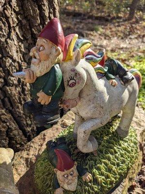 The gnomes!