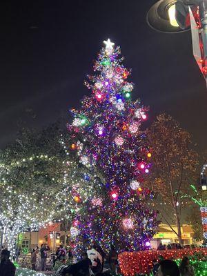 Paramount Tree Lighting