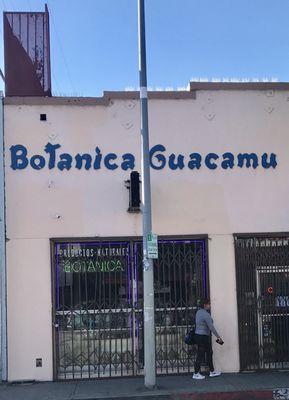 Botanica Guacamu 2