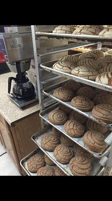 Fresh Conchas & Coffee