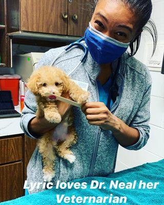 Throwback to baby Lyric at her first well-puppy exam! Alameda Animal Hospital has been caring for her since day one!