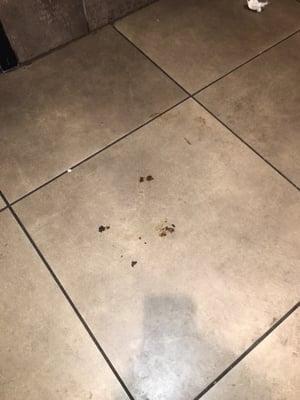 Went in today again and there was actual shit in the floor in the bathroom. I can't explain how disgusted I am