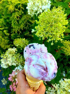 Vermont blackbear with raspberry + chocolate chunks