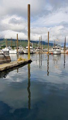 At the port, we saw an eagle perched atop of a pole as he kept track of our movement below.