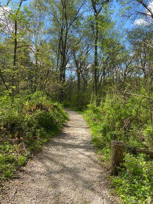 Bethany Falls nature trail