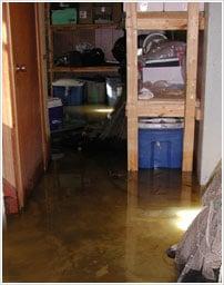 Flood Damage Services in Carson, CA