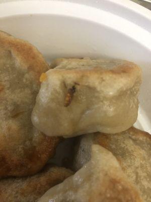 Cooked maggot on dumpling.