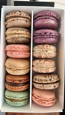 Coffee, Cookies and Cream, Rose, Vanilla, Nutella, Pistachio, Lavender, Tiramisu Macarons