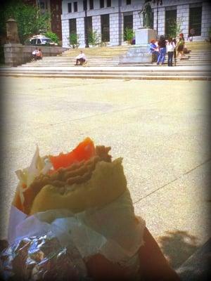 This Big Fat gyro + sunshine at the park = nice lunch!