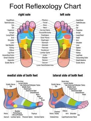 In addition to Massage we also offer 30 minutes of reflexology techniques used to enhance the body's healing process