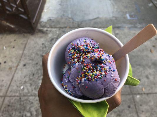 Vegan ube ice cream