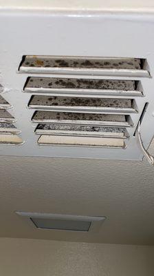 Mold in the vents