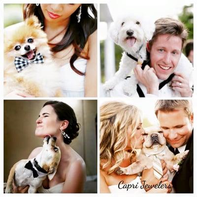 Wedding + Dogs + Love = Capri Jewelers