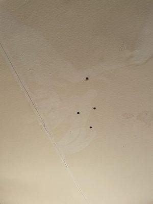 Holes poked by maintenance to drain ceiling to already saturated carpeting