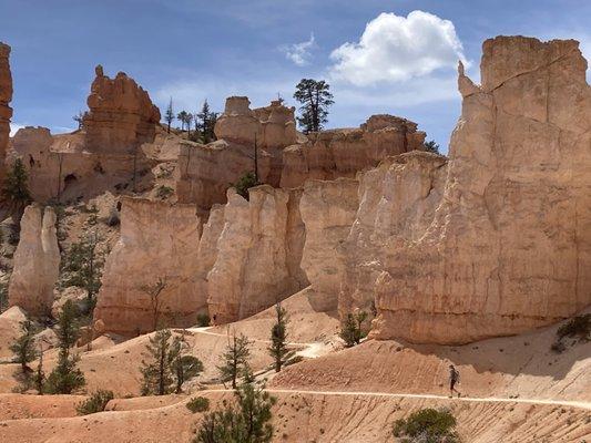 What a special place! Bryce Canyon National Park