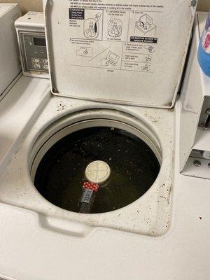 Opened a random washer to this mess....