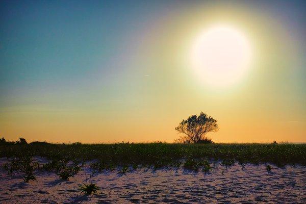 Beach and Preserve