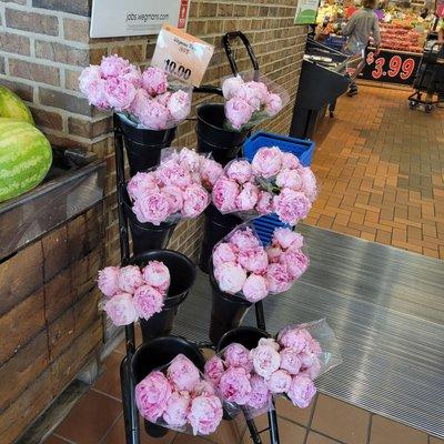 Look at the pretty peonies