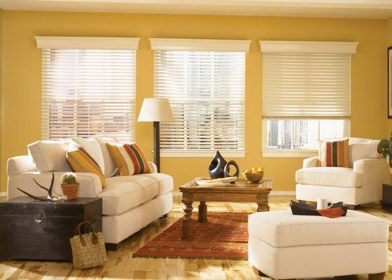 Blind Cleaning & Repair, On-Site Drapery Cleaning, & New Designer Blinds. Free Estimates! Blind Cleaning Services 800.470.9059