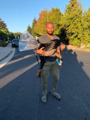 This is dad holding his baby right after picking him up from surgery.