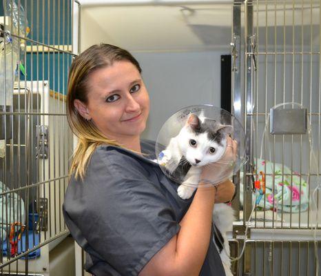 Saint Francis Veterinary Specialists and Emergency