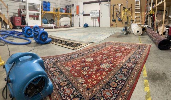 Love Rugs