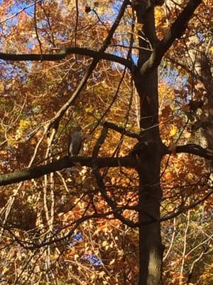 Long Branch Nature Center & Park