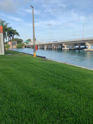 west view, General Douglas MacArthur, Causeway.