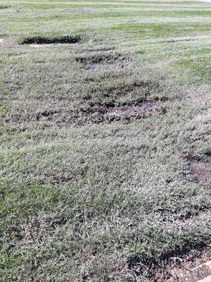 Water Logged and Sunken   Grave Markers