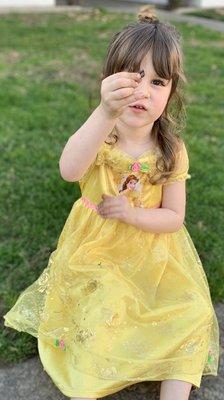 Her new Belle Dress, she loves Disney Princesses! And this is a pill bug she found digging!